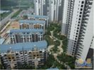 東莞珠佳房地產 專業房地產代理服務，助力投資與登記無憂